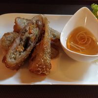 Springrolls (14) at Tradition aus Vietnam in Aachen