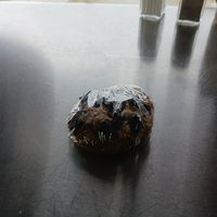  at Living on the Veg in Manahawkin