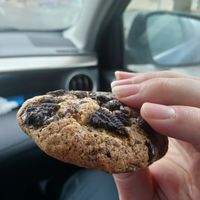  at Living on the Veg in Manahawkin