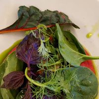 Beet Hummus @su casa at The House of AïA in Playa Del Carmen