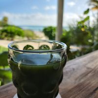  at The House of AïA in Playa Del Carmen