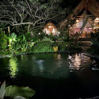  #Veganuary at Yay Sustainable Restaurant Lodge in Magdalena