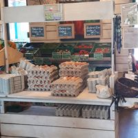 Vegetables and eggs at biohof - Rotermund Hemme in Wedemark
