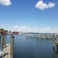The view from our spot on the deck! at Foxy's Harbor Grille in St Michaels