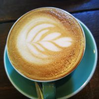 Flat White with Oat Milk at Café Janis in Lisbon