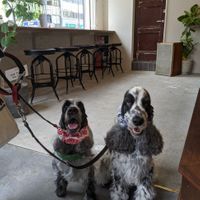 Doggyyyyyy at Ovgo B.A.K.E.R Edo St in Tokyo