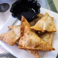 Vegan cream cheese wonton at Vegan Thai Co in Longmont