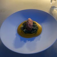 Lentil patty on chard, topped with sliced radish  at Pelegrini in Sibenik