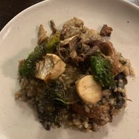 Mushroom risotto  at The Fox and Hounds in Charwelton