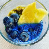 Delicious Vegan Recipes  at SurfHouse Calpe in Calpe