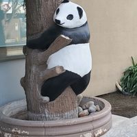  at Asian Vegan Bistro in Bakersfield