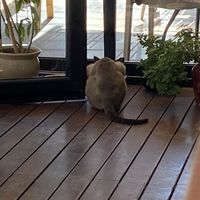 Feed station  at NIYA in Casablanca