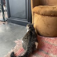   at NIYA in Casablanca