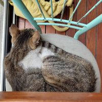 Shared space! at NIYA in Casablanca