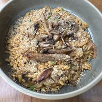 Mushroom Risotto   at NIYA in Casablanca
