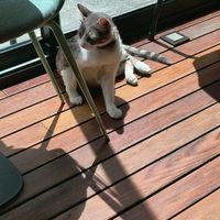  at NIYA in Casablanca