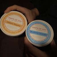 2 pints  at Pints of Joy in Sunnyvale