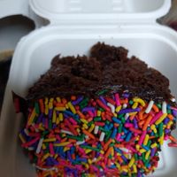 Double chocolate cake with rainbow sprinkles at Your Local Seitanist in Chattanooga