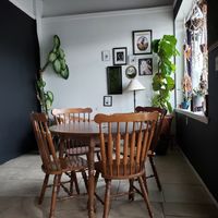 Cute interior at Your Local Seitanist in Chattanooga