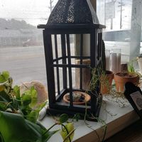 So cute at Your Local Seitanist in Chattanooga