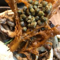   at Botanique in Hove