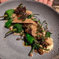  at Botanique in Hove