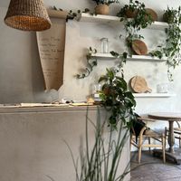   at Botanique in Hove