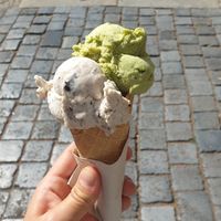  at Green Scoop Vegan in Berlin