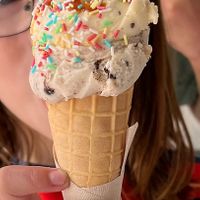 Cookie dough and vanilla  at Green Scoop Vegan in Berlin