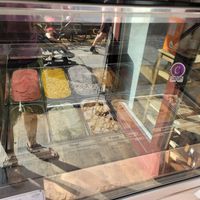 Yum at Green Scoop Vegan in Berlin