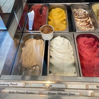  at Green Scoop Vegan in Berlin