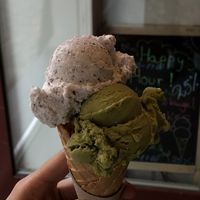   at Green Scoop Vegan in Berlin