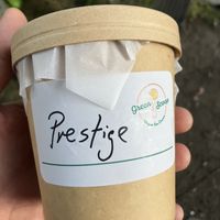   at Green Scoop Vegan in Berlin