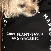 Our pup loves Margo’s too! at Margo's Amsterdam - Jordaan in Amsterdam
