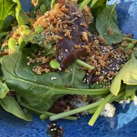 Gado gado
met gemarineerde en gebakken tempeh, komkommer, edamame, spinazie, witte rijst en pittige pindasaus at Het Hart in Vlaardingen