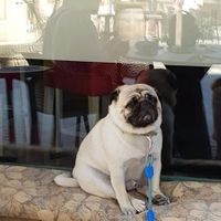  at La Vermuteria in Solsona