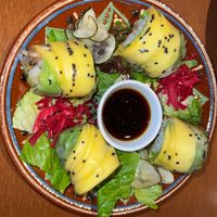 Vietnamese soft rolls vegan style. They were probably the best of Vietnamese rolls I’ve ever had. Came with sauerkraut on the side. at La Vermuteria in Solsona