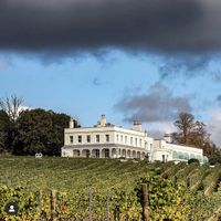 View from the vineyard at Lympstone Manor in Lympstone
