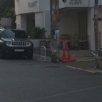 View from outside at Plant Cafe & Kitchen - Yeonnam in Seoul