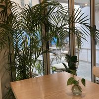 Earthy decor and calm atmosphere   at Plant Cafe & Kitchen - Yeonnam in Seoul