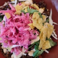  at Plant Cafe & Kitchen - Yeonnam in Seoul