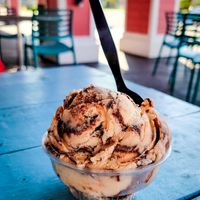 Vegan peanut butter fudge ice cream at Pink Pelican at Pink Pelican Ice Cream Bar in Panama City Beach