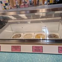 Well labeled vegan choice at Pink Pelican Ice Cream Bar in Panama City Beach
