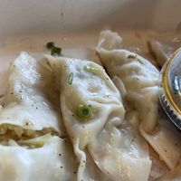Dumplings at PLANTA Queen in New York City