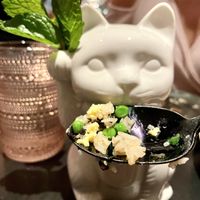 Vegan truffle fried rice presented by the “sake to me” cocktail kitty ❣️ at PLANTA Queen in New York City