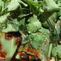 Spinach Dumplings  at PLANTA Queen in New York City