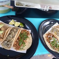 Super fresh & delicious Tacos 😍 at Taco Grass in Mexico City