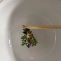 Beautiful bouquet with lemon verbena. A tomato tea was poured over this  at Eleven Madison Park in New York City