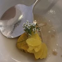 Pumpkin at Eleven Madison Park in New York City