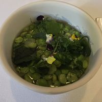 Silken tofu with split peas and broth  at Eleven Madison Park in New York City